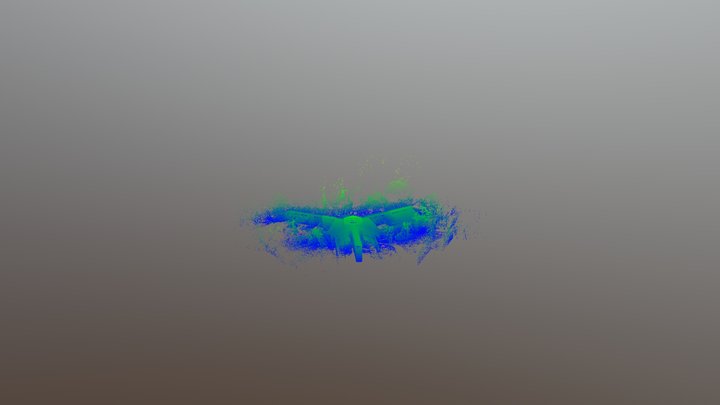 2019-03-17 20-44-31 - Cloud Wee 3D Model