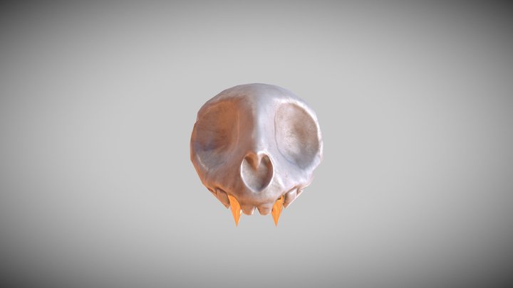 Texturing 2e Session 3D Model