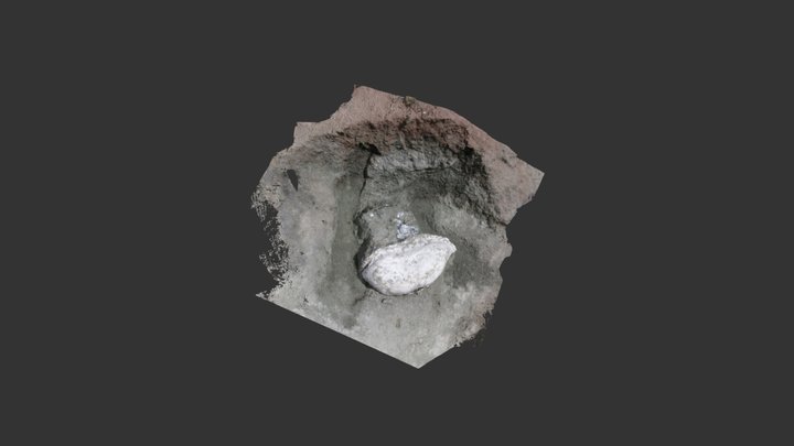 Test 3D Model