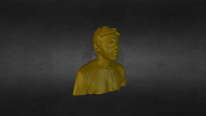 3d Scan by Printmein3d 3D Model