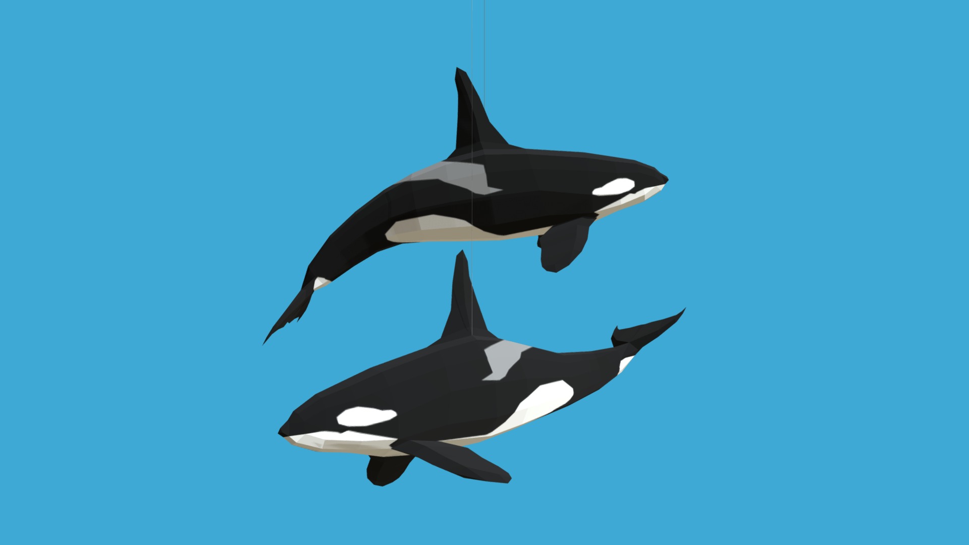 3D model Orcas - This is a 3D model of the Orcas. The 3D model is about a pair of black and white whales in the sky.
