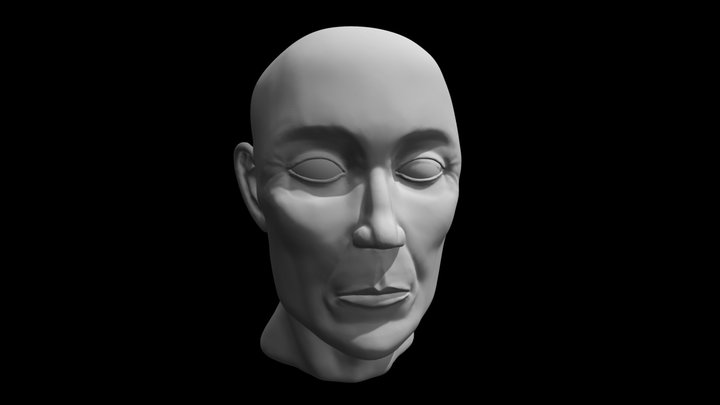 Face Sculpt Test 3D Model