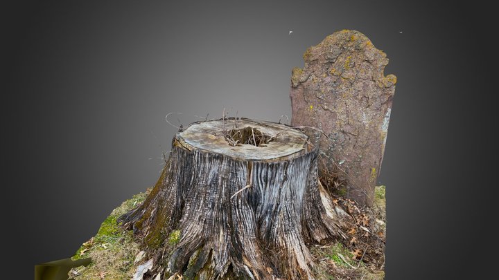 Capture the past, preserve for the future 3D Model
