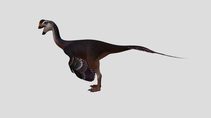 Oviraptor Male Accurate Rigged (Tourmaline Skin) – Modello 3D gratuito STL
