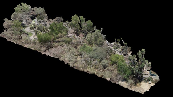 Colección Jardín del Desierto Helia Bravo IBUNAM 3D Model