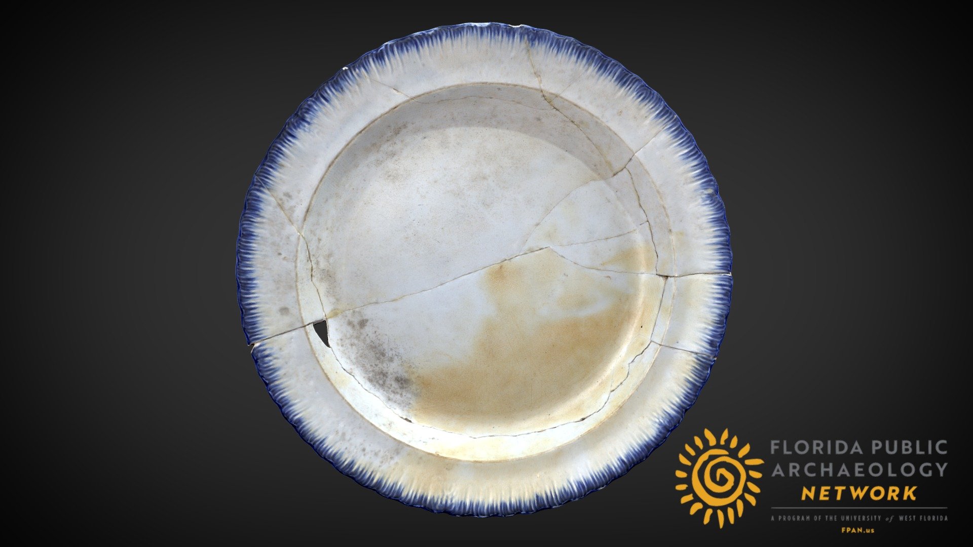 Shell Edged Pearlwear
