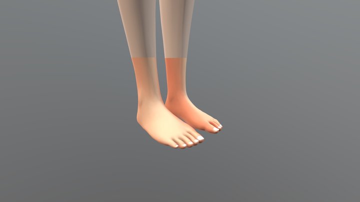 Flat Feet 3D Model