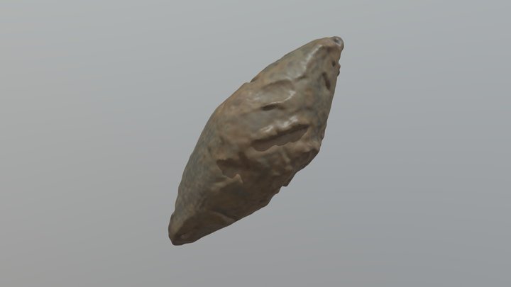 Lead Sling Bullet - Cosa Excavations C22.084 3D Model