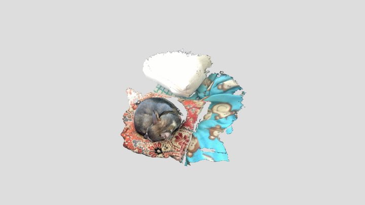 Worlds fastest dog 3D Model