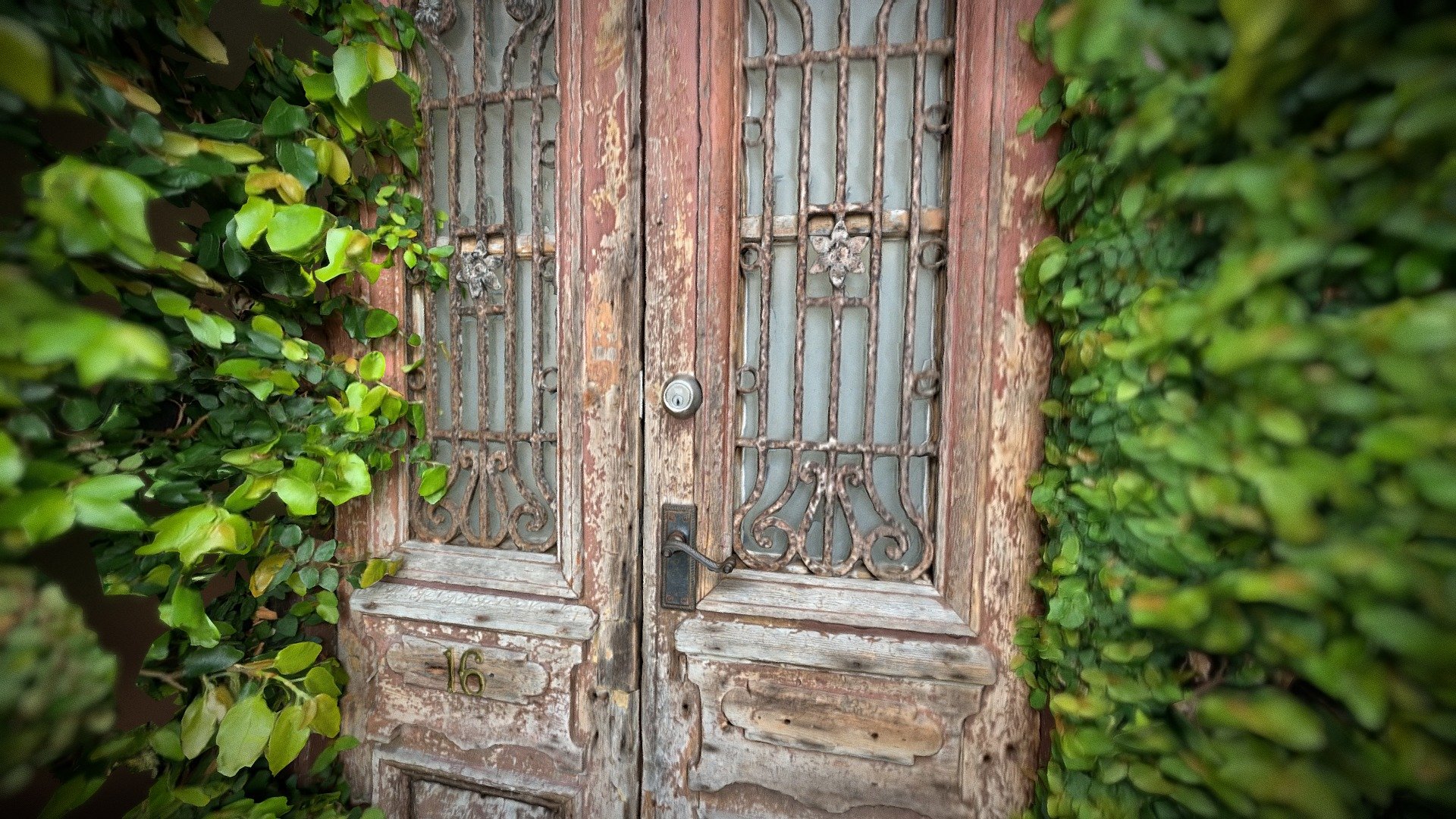 Doors of Auckland - 16 Nikau Street - Download Free 3D model by Maksym ...