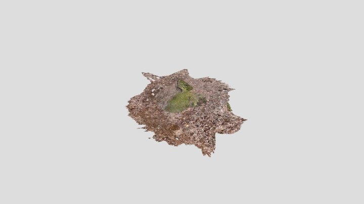 Untitled Scan 3D Model