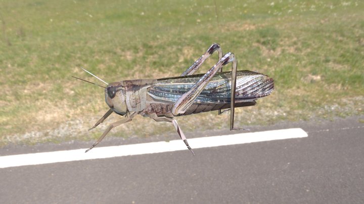Grasshopper – Modelo 3D gratuito STL