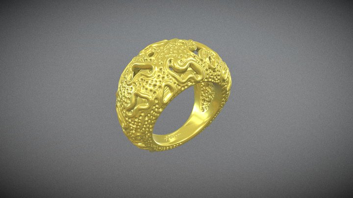 Original Ring Design - 3D printable 3D Model