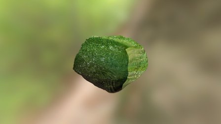 DESMIUM 3D Model