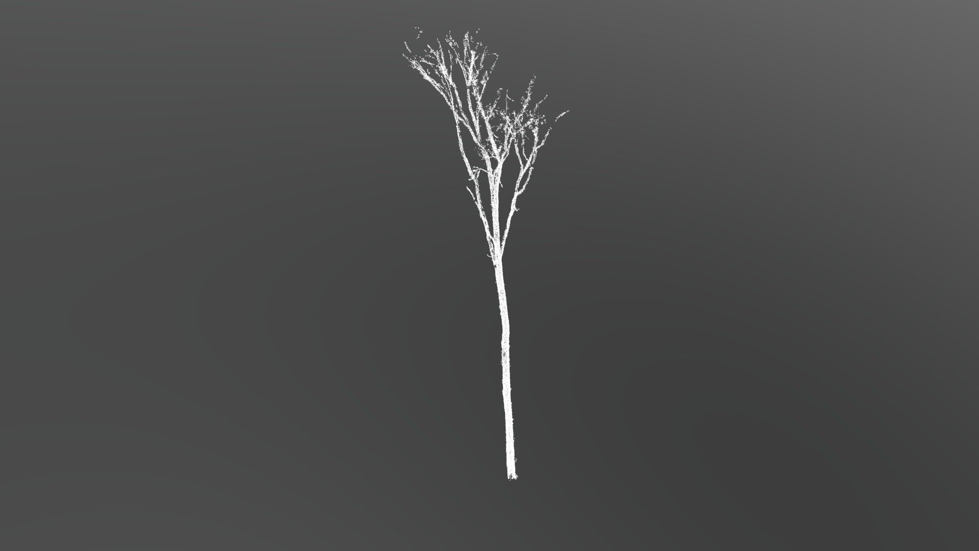 AEP02-tree_133.wood.ply