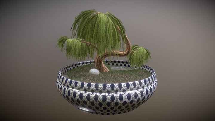 Weeping Willow Bonsai Tree 3D Model