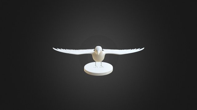 Zwin Museum - Visdief - vs002 3D Model