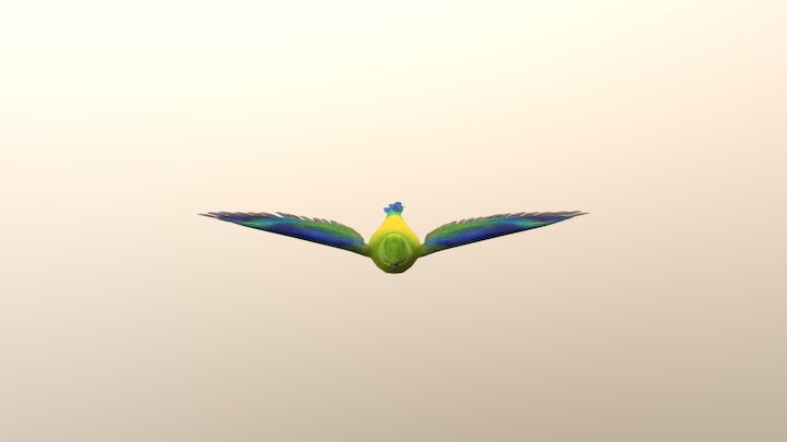 Orange-bellied parrot 3D Model