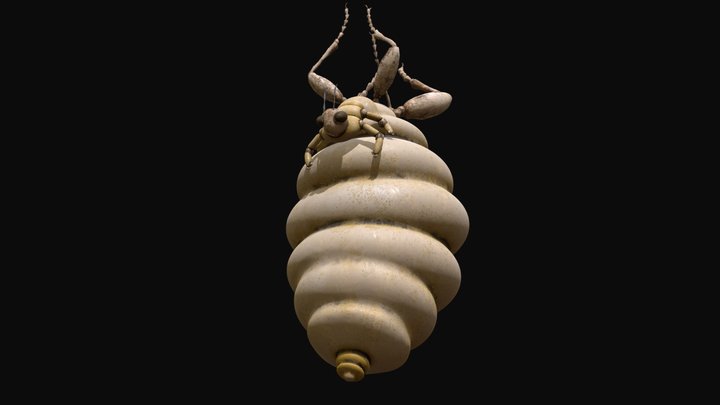 Termite Queen 3D Model