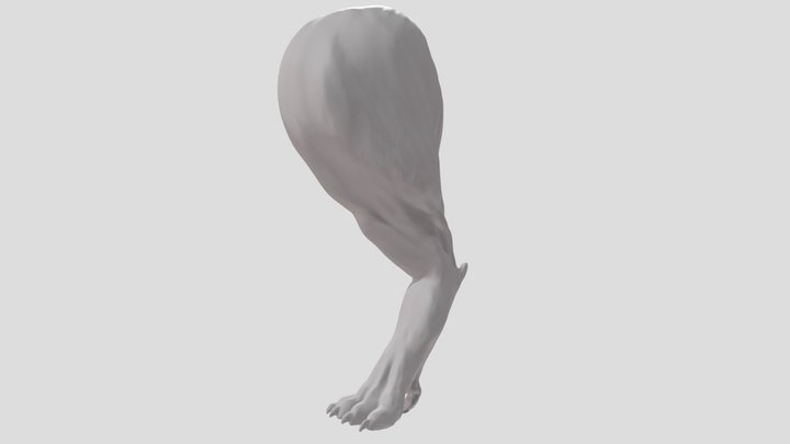 Dragon Leg 3D Model