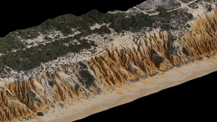 Arriba Fóssil da Galé 3D Model