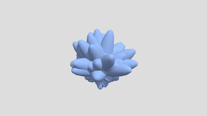 Parametric Coral _Keith Wong 3D Model