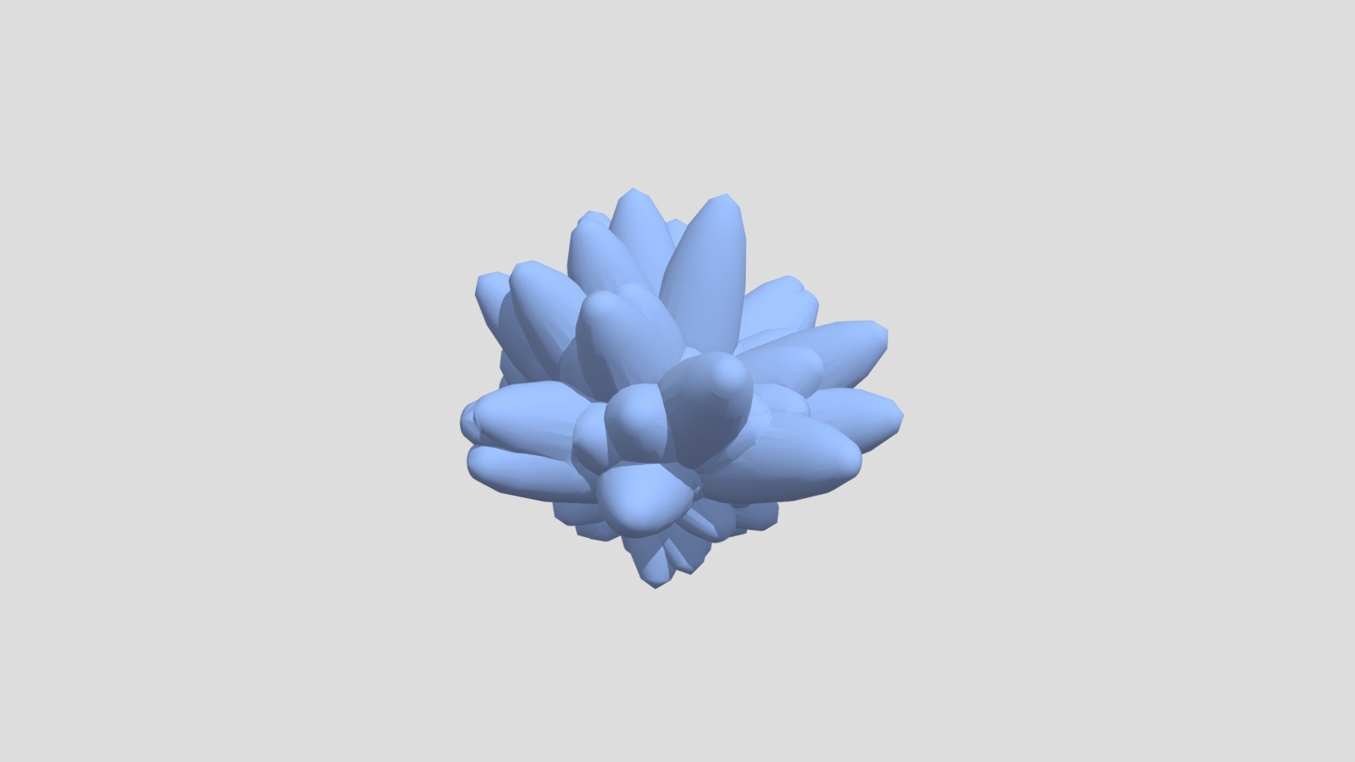 Parametric Coral _Keith Wong
