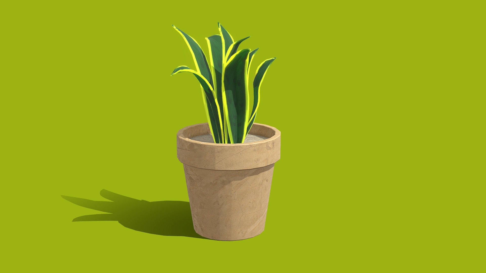 Plant