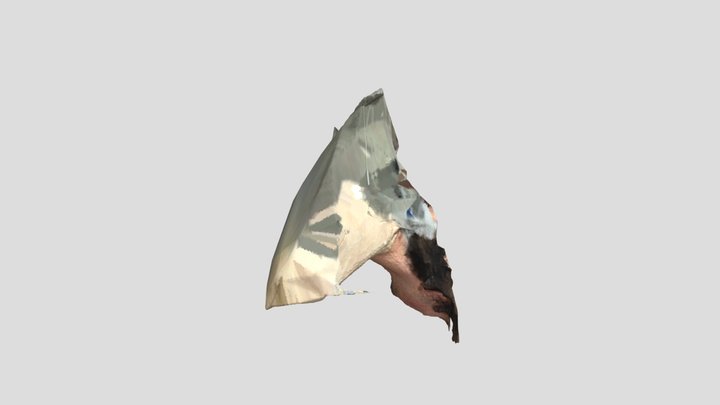 Memessedup 3D Model