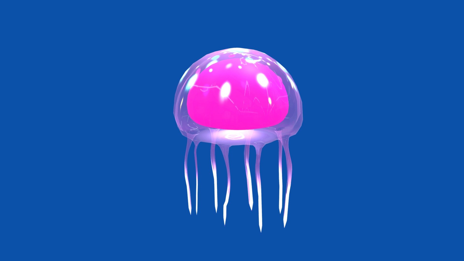 Jellyfish