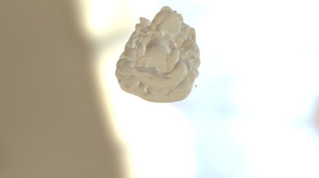 bloempje zonder achtergrond 3D Model