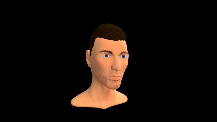 Face Bust 3D Model