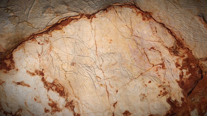 Grotte Cosquer : plafond des phoques 3D Model