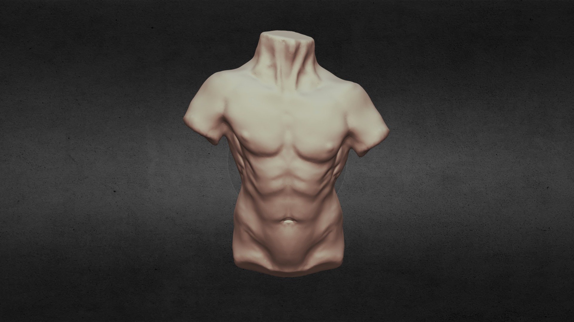 Torso Study - 3D model by Xela Cordova (@cordovaa) [1bbef39] - Sketchfab