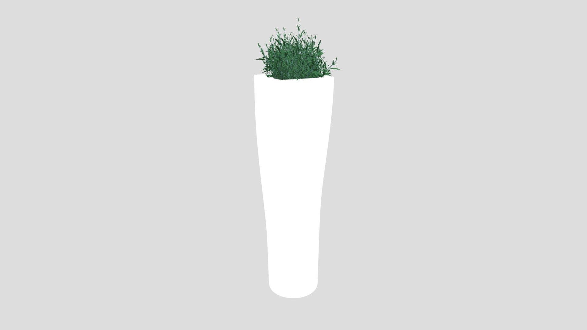 Plant Pot