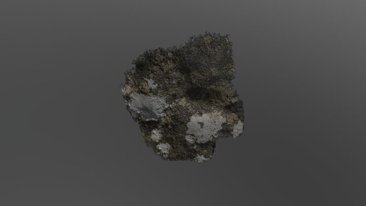 20 3D Model