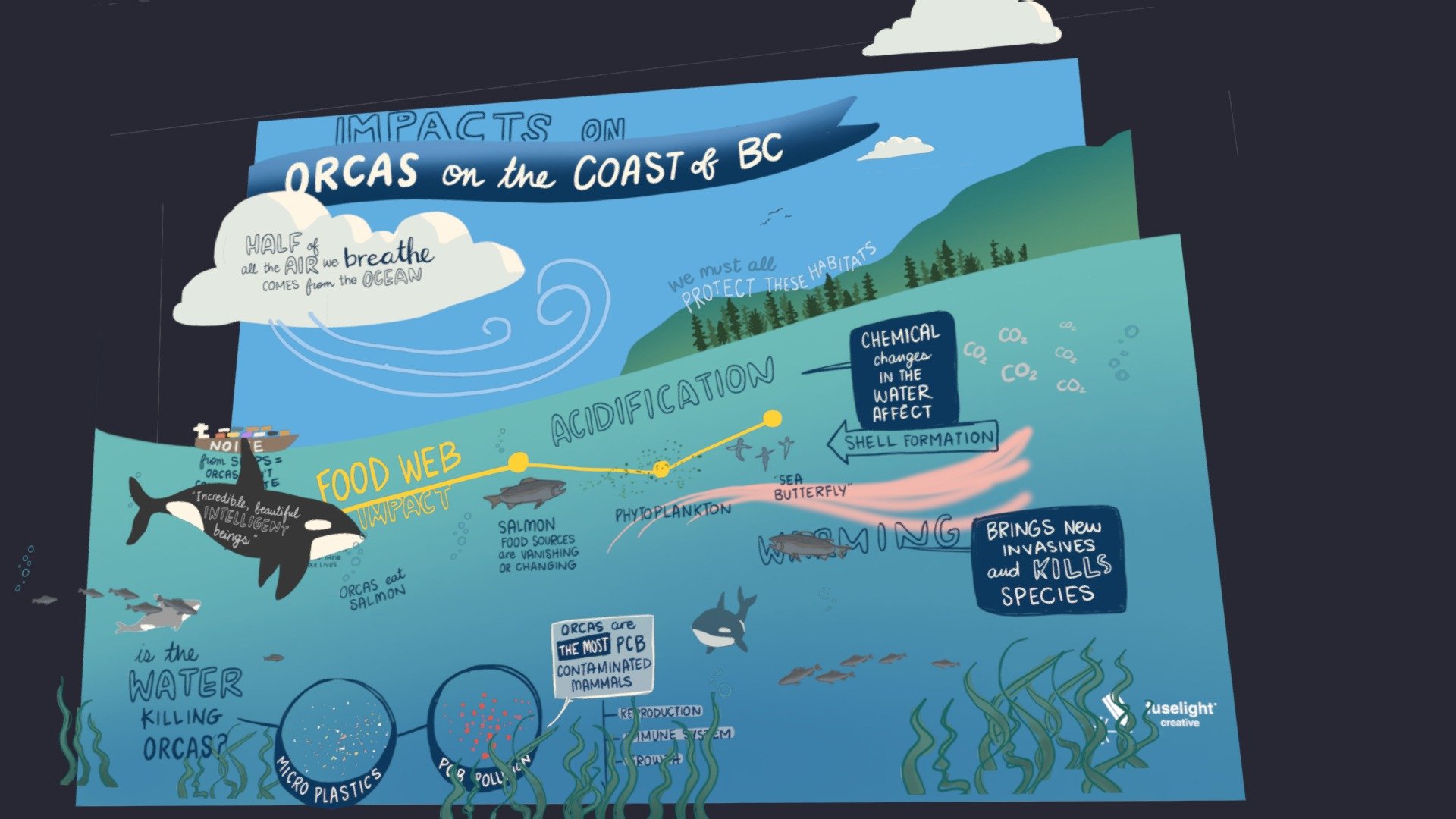Orcas on the Coast of BC (Graphic Recording)