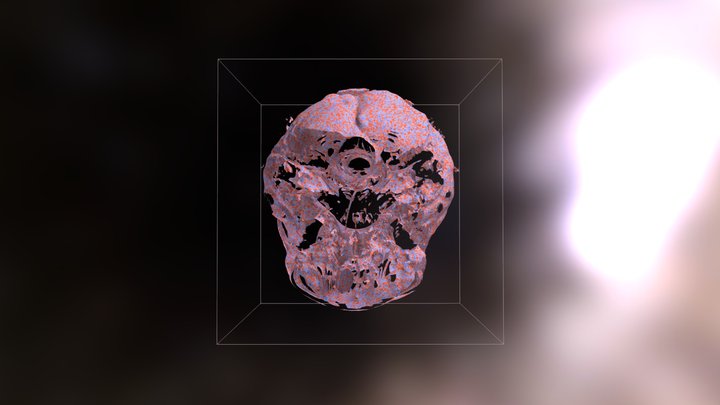 3D Object Output - Headsq from paraview - 3 3D Model