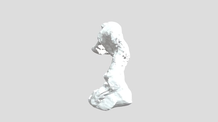 Rock 3D Model