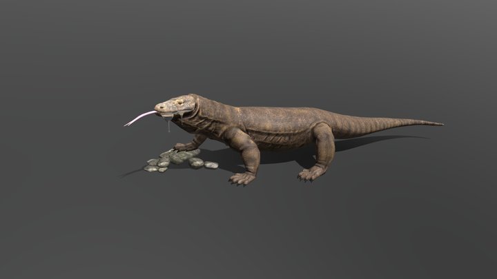 komodo dragon 3D Model