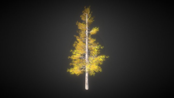 TREE_ASPEN 3D Model