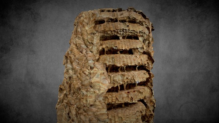 wasp nest – Gratis 3D-model STL