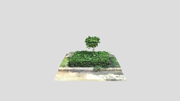 Đường phố 3D Model