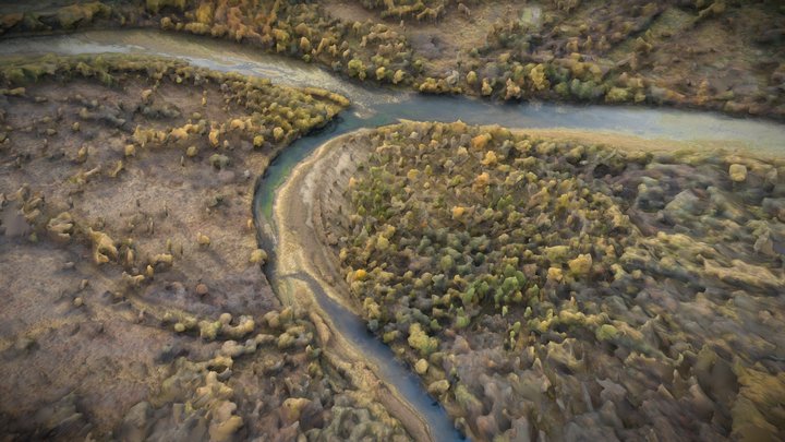 Wetland, forest, shoal and river – Gratis 3D-model STL
