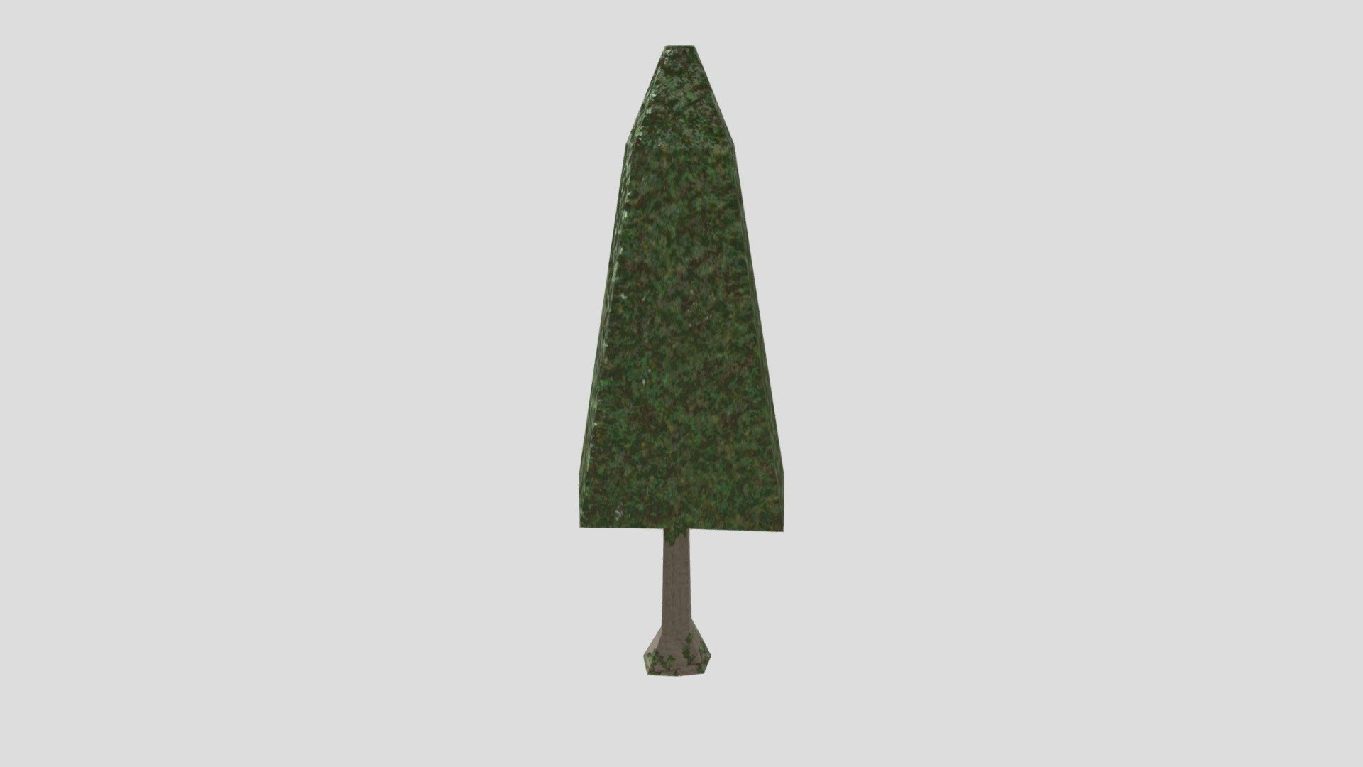 arbol
