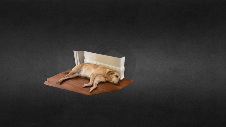 Stella The Sweetest Lab 3D Model