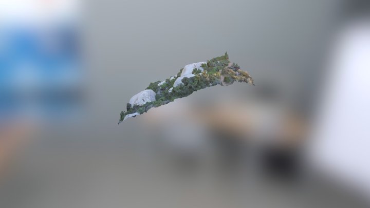 Rock4 3D Model