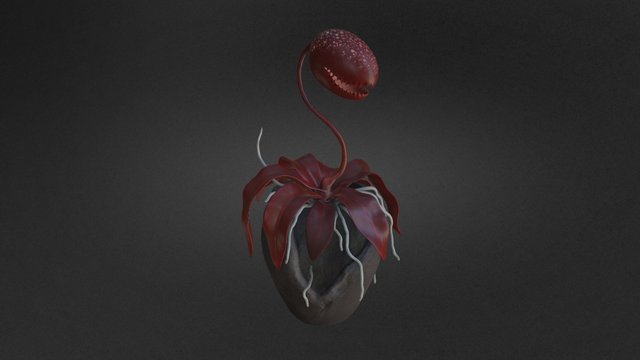 Carnivorous Plant - 2015 3D Model