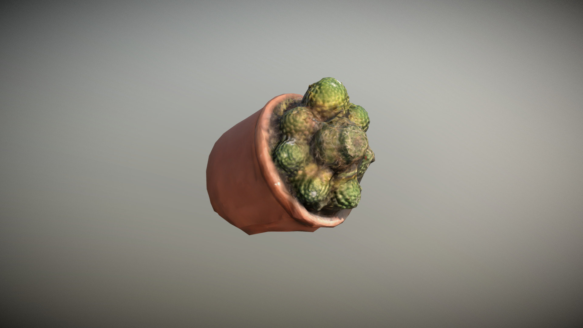 cactus photogrammetry low poly