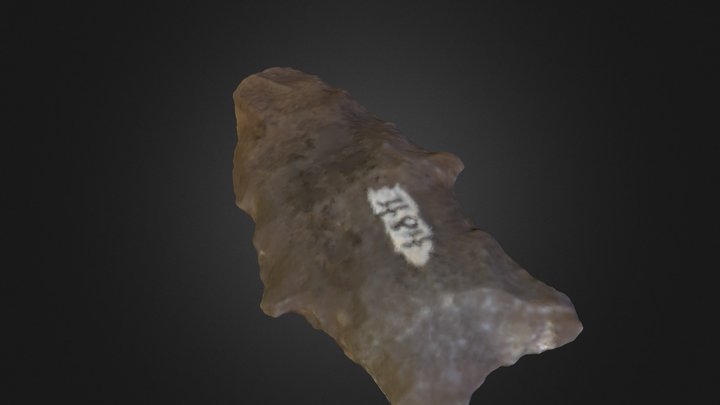 113 Arrowhead Final 3D Model